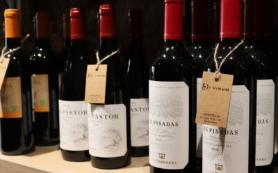 El Maridaje Perfecto para la Castañada: Vinos, Cavas y Licores