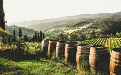 Licores y vinos ecológicos: la nueva apuesta sostenible en Divinum
